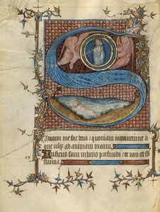 Initiale S: David im Wasser von Unknown artist