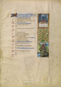 Januar-Kalenderseite; Festmahl; Wassermann von Unknown artist