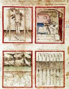 Joseph deutet die Träume des Korbmachers, der enthauptet wird. Oben rechts träumt der Pharao von den sieben fetten Kühen, Vorahnung der Jahre des Überflusses, und den sieben mageren Kühen der Jahre des Hungers. Miniatur aus Codex 212