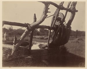 Kos entlädt Wasser - Guzarat von Unknown artist