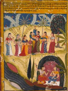 Krishna und Gopis