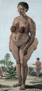 La Venus Hottentote, Frau der Bochiman-Rasse; (Die Hottentotten-Venus), Gravur von 1815
