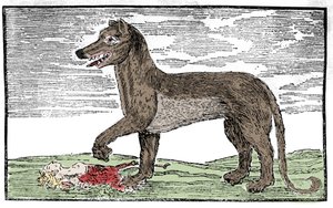 La Bête du Gévaudan, Gravur aus 