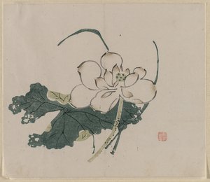 Lotusblüte von Unknown artist