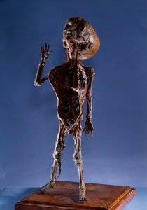 Medizin: Schalenfigur von Unknown artist