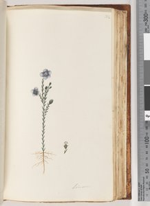 Seite 102. Lein von Unknown artist