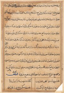 Seite aus Geschichten eines Papageis (Tuti-nama): Textseite von Unknown artist