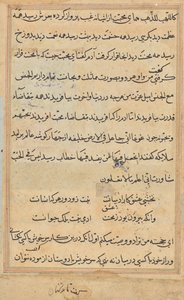 Seite aus Geschichten eines Papageis (Tuti-nama): Textseite von Unknown artist