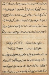 Seite aus Geschichten eines Papageis (Tuti-nama): Textseite von Unknown artist