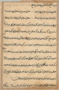 Seite aus Geschichten eines Papageis (Tuti-nama): Textseite von Unknown artist