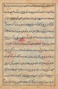 Seite aus Geschichten eines Papageis (Tuti-nama): Textseite von Unknown artist