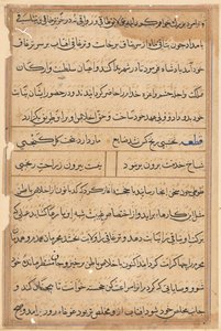 Seite aus Geschichten eines Papageis (Tuti-nama): Textseite von Unknown artist