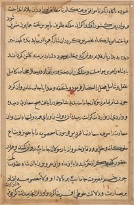 Seite aus Geschichten eines Papageis (Tuti-nama): Textseite von Unknown artist