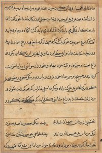 Seite aus Geschichten eines Papageis (Tuti-nama): Textseite von Unknown artist