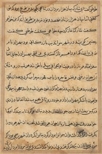 Seite aus Geschichten eines Papageis (Tuti-nama): Textseite von Unknown artist