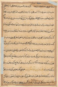 Seite aus Geschichten eines Papageis (Tuti-nama): Textseite von Unknown artist