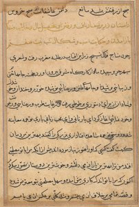 Seite aus Geschichten eines Papageis (Tuti-nama): Textseite von Unknown artist