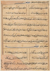 Seite aus Geschichten eines Papageis (Tuti-nama): Textseite von Unknown artist