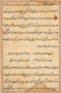Seite aus Geschichten eines Papageis (Tuti-nama): Textseite von Unknown artist