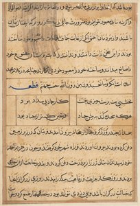 Seite aus Geschichten eines Papageis (Tuti-nama): Textseite