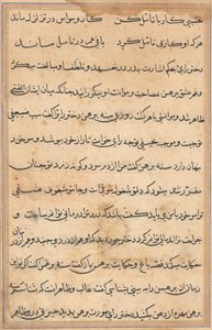 Seite aus Geschichten eines Papageis (Tuti-nama): Textseite von Unknown artist