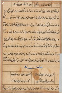 Seite aus Geschichten eines Papageis (Tuti-nama): Textseite von Unknown artist