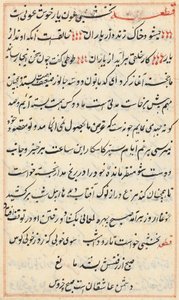 Seite aus Geschichten eines Papageis (Tuti-nama): Textseite von Unknown artist