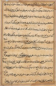 Seite aus Geschichten eines Papageis (Tuti-nama): Textseite von Unknown artist
