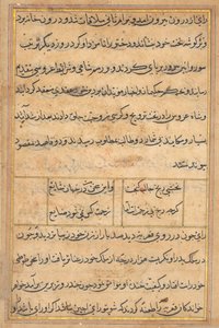 Seite aus Geschichten eines Papageis (Tuti-nama): Textseite
