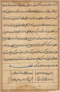 Seite aus Geschichten des Papageis (Tuti-nama): Textseite von Unknown artist