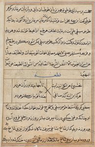 Seite aus Geschichten eines Papageis (Tuti-nama): Textseite von Unknown artist