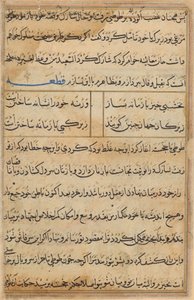 Seite aus Geschichten eines Papageis (Tuti-nama): Textseite von Unknown artist