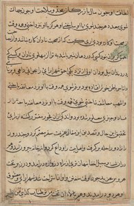 Seite aus Geschichten eines Papageis (Tuti-nama): Textseite von Unknown artist