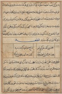 Seite aus Geschichten eines Papageis (Tuti-nama): Textseite von Unknown artist
