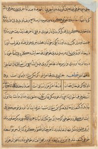 Seite aus Geschichten eines Papageis (Tuti-nama): Textseite von Unknown artist