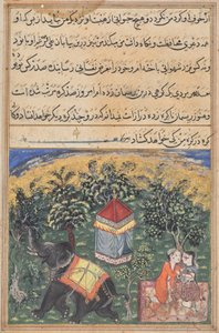 Seite aus Geschichten eines Papageis (Tuti-nama): Textseite von Unknown artist
