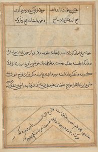 Seite aus Geschichten eines Papageis (Tuti-nama): Textseite