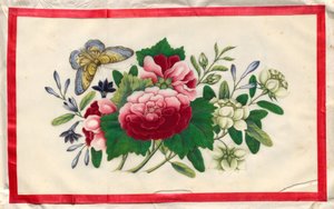 Malerei Neun aus dem illustrierten Buch der Blumen und Schmetterlinge