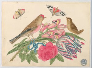Paar braune Vögel auf einem Strauß mit Tulpe, Rose und Löwenmäulchen, mit Schmetterlingen