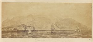[Panorama des Hafens, Funchal, Madeira]
