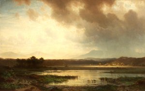 Partie im Moor bei Seeshaupt