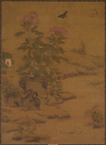 Pflanzen und Insekten