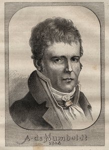 Porträt von Alexander von Humboldt (1769-1859) - Illustration aus „Die großen Seefahrer des 18. Jahrhunderts“