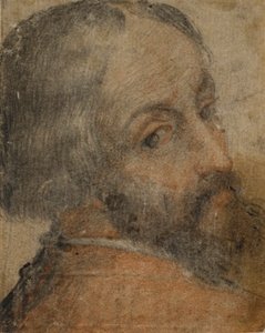 Porträt eines bärtigen Mannes (Lodovico Ariosto?) von Unknown artist