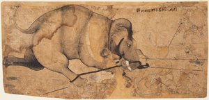 Rao Ram Singhs Elefant ist durchgedreht