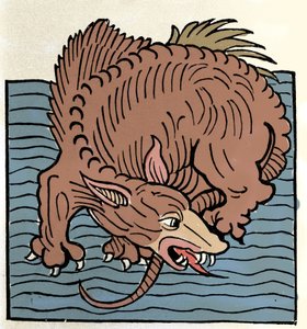 Darstellung eines Meeresmonsters. Gravur aus „Hortus Sanitatis“