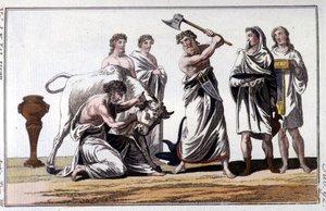 Opferung eines Stiers bei den Kelten. Gravur des 19. Jahrhunderts.
