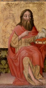 Johannes der Täufer von Unknown artist
