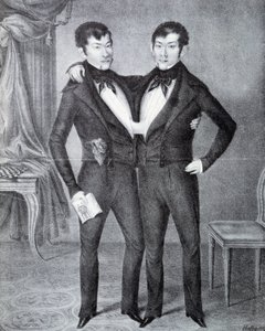 Siamese
