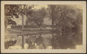 [Silverspring-Teich] von Unknown artist